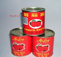 China canned  tomato paste