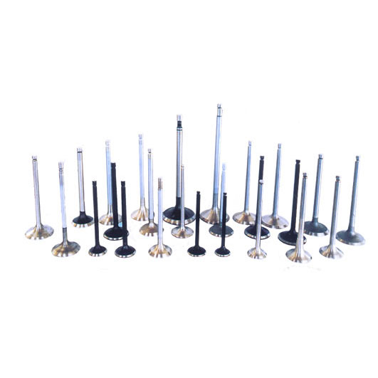 Engine Valves