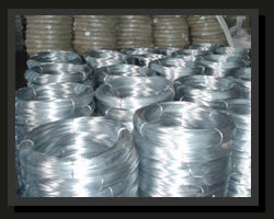 Welded Wire Mesh