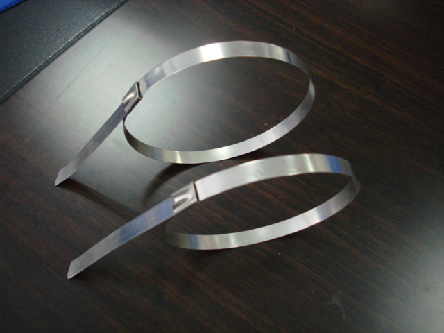 Stainless Steel Cable Ties