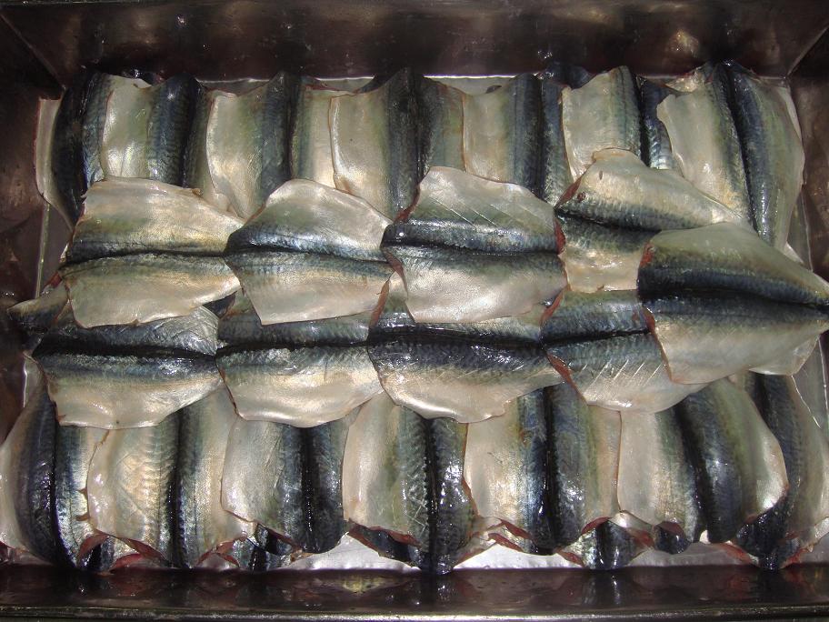 Frozen Mackerel fillet