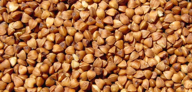 roasted buckwheat kernel