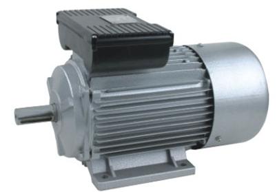 YL Single-Phase Asynchronous Motor