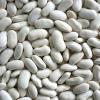 white kidney beans