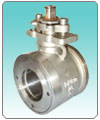 Wafer Type Ball Valves