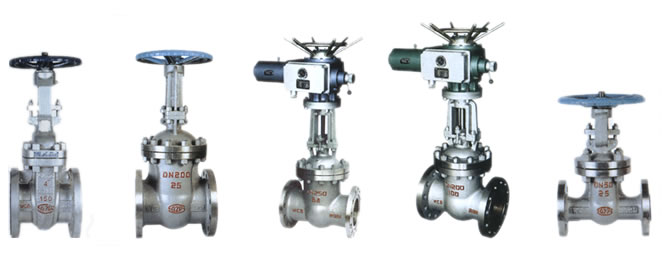 gate valve