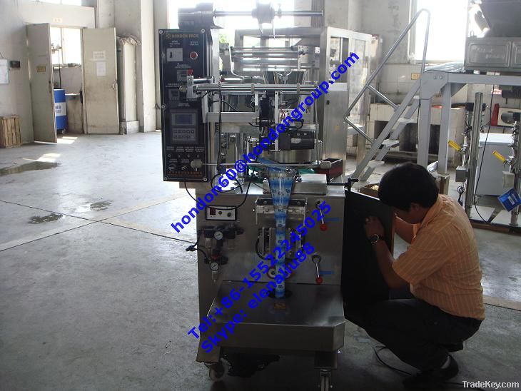 Triangle Packaging Machine