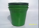 biodegradable flowerpot