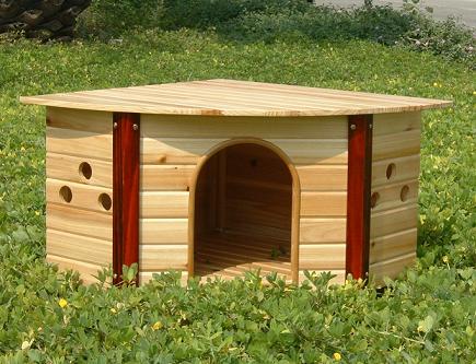 dog house