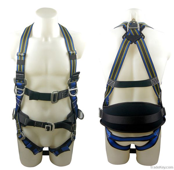 Safety Harness- 5 D Rings (DHQS010)