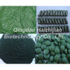 Spirulina and Chlorella
