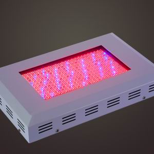 300W High Power LED Plant Grow Light