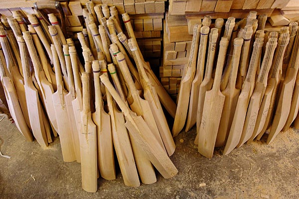 Plain Cricket Bats