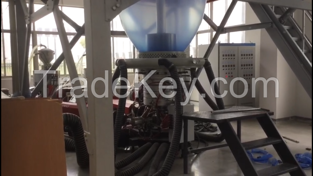 Rotary die Head Double Winder PE Film Blowing Machine