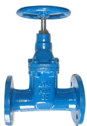 Resilient seated gate valves