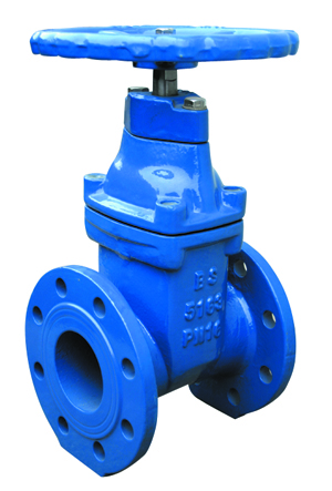 Resilient seated gate valves