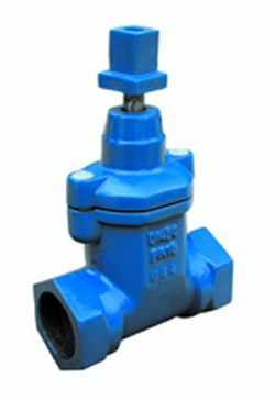 Resilient seated gate valves