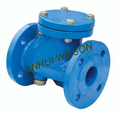 Cast iron check valves