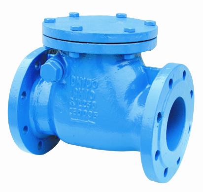 Cast iron check valves