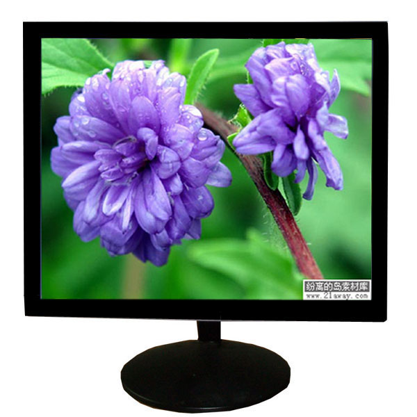 LCD monitor