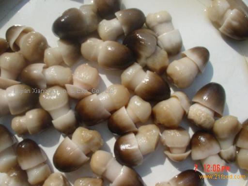 Canned Straw Mushroom