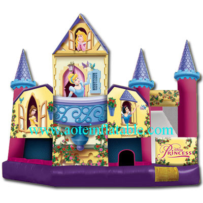 Bouncy Castle