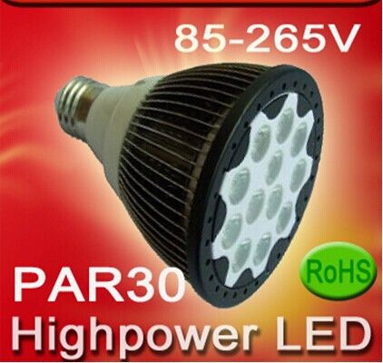 LED PAR30 bulb (RL-PAR30W15)