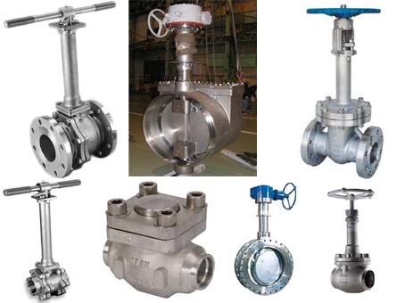 Gryogenic ball valve/gate valve/globe valve/check valve/butterfly valv