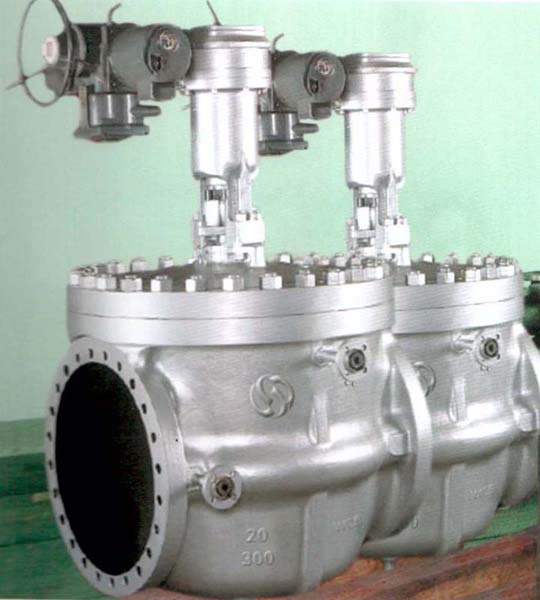 Top entry ball valve/ Top entry eccentric ball valve