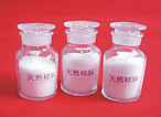 Natural Camphor