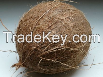 Semi Husked Coconuts