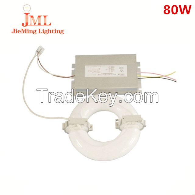 induction light 20W 30W 40W 100W 150W 200W 250W 300W 400W