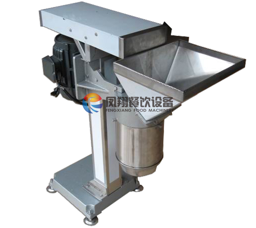 Ginger Paste Machine