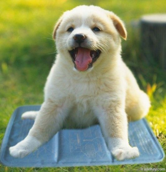 COOL PET PAD, COOL MAT, COOL GEL MAT