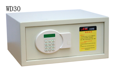 Electronic Safe