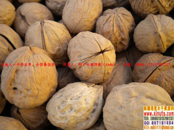 Iranian walnut