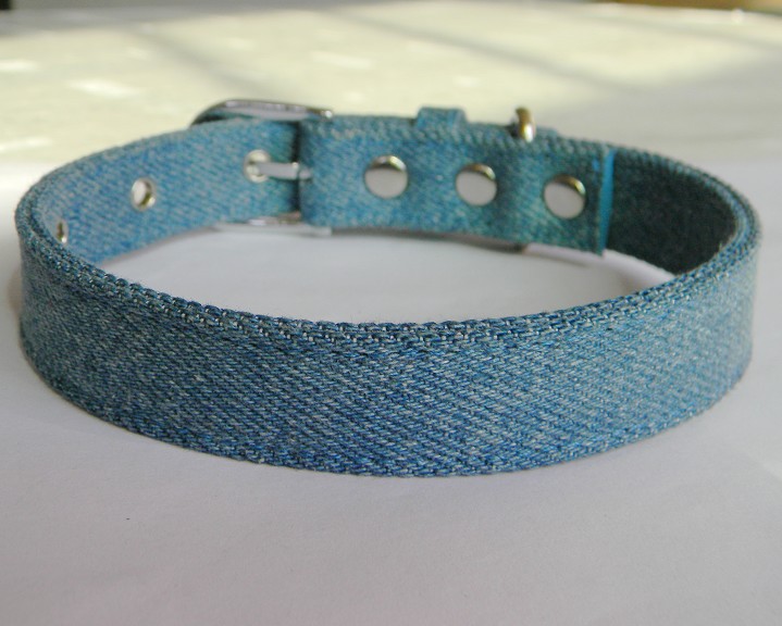 Dog Collar (Jeans Type)