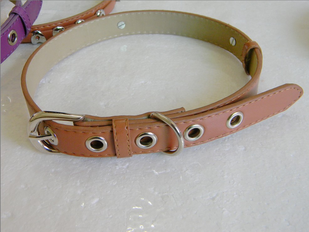 Personalized Dog collar