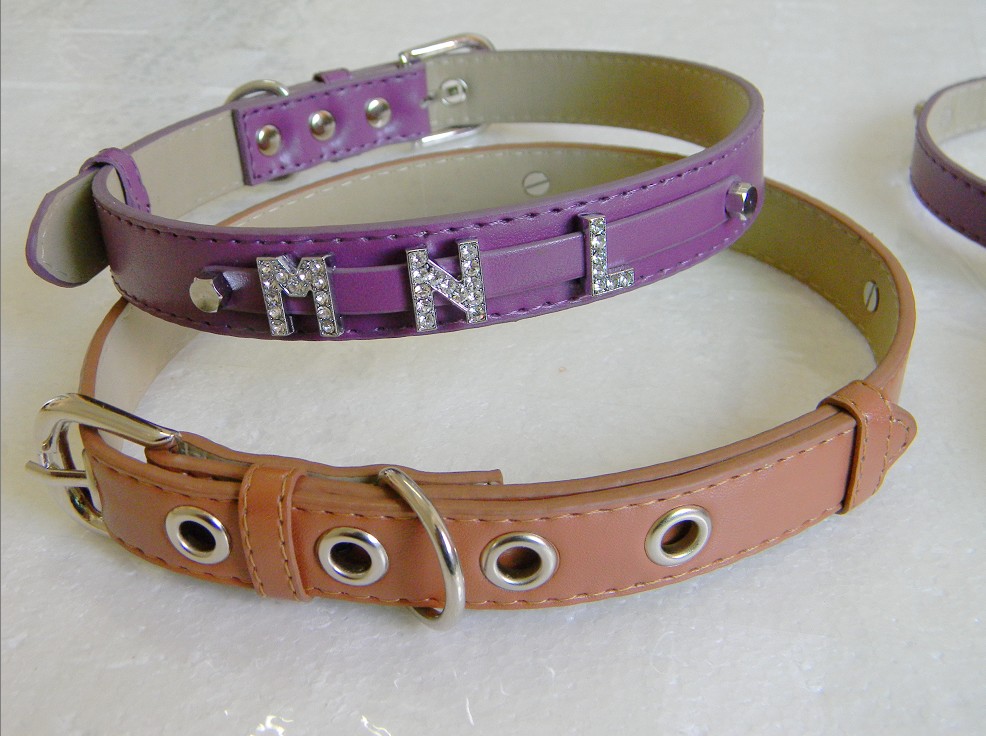 Personalized Dog collar