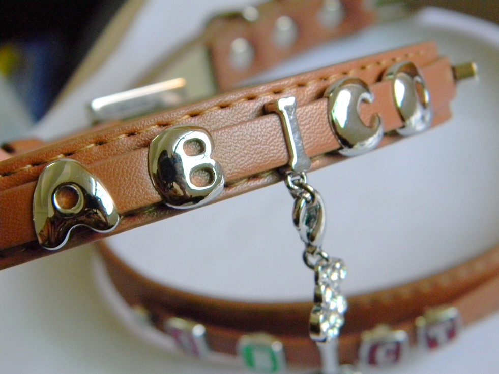 Personalized Dog collar