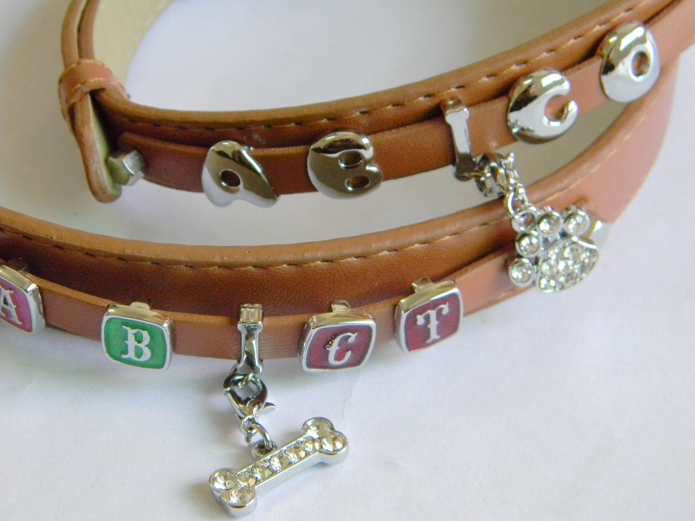 Personalized Dog collar