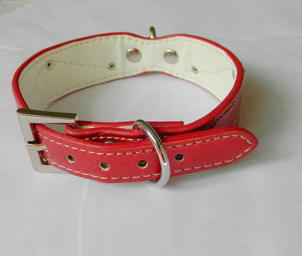 Personalized Dog collar