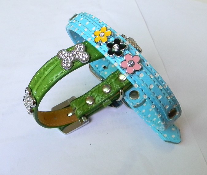 China Personalized Dog collar