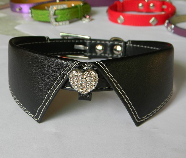 Leather Dog collar