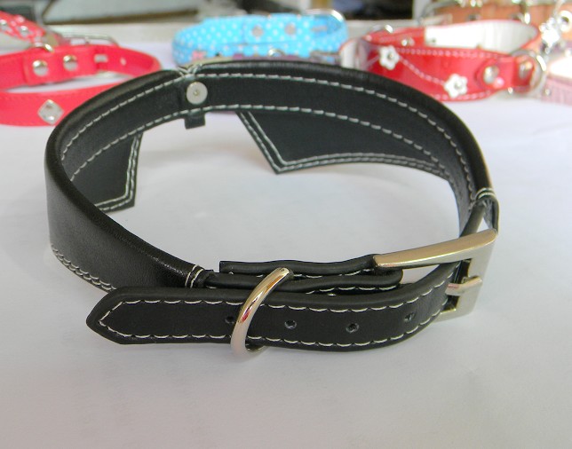 Leather Dog collar