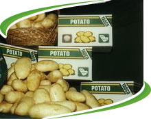 Potatoes