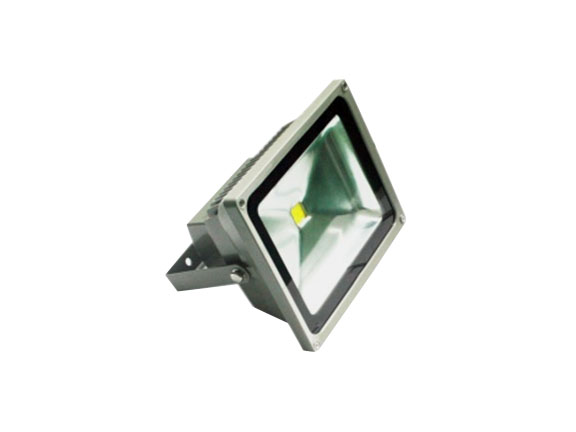 LED Floodlight