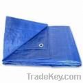 Blue Tarps