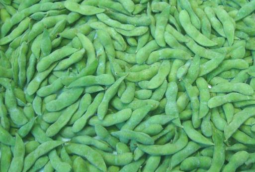 Frozen Edamame