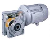 gear reducer motor